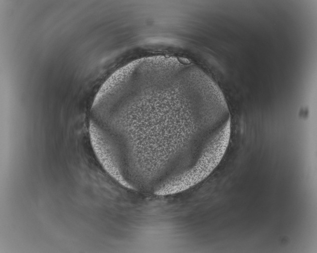 X0000113940965200910231940