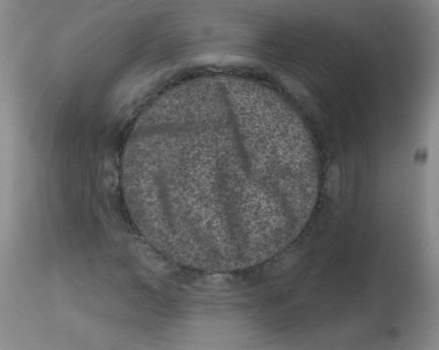 X0000113940966200910231940