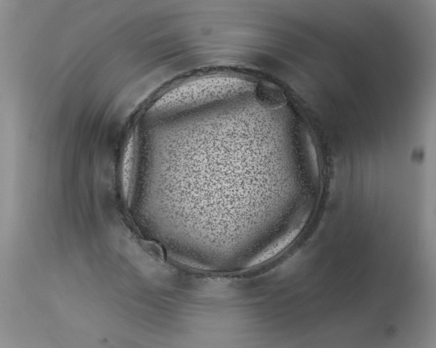 X0000113940969200910231940