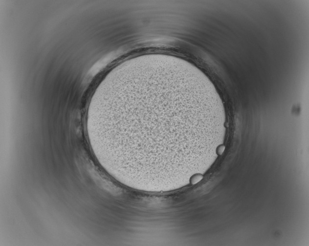 X0000113940970200910231940