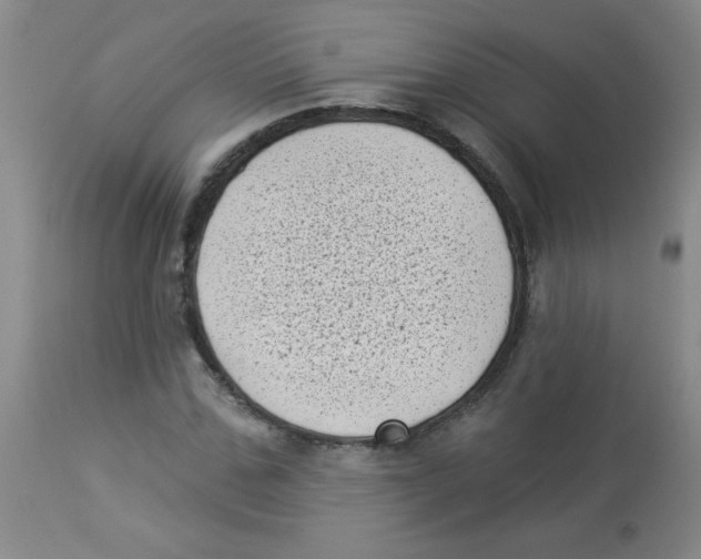 X0000113940971200910231940