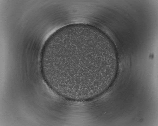 X0000113940975200910231940