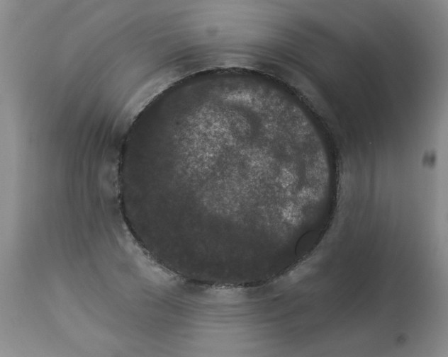 X0000113940977200910231940