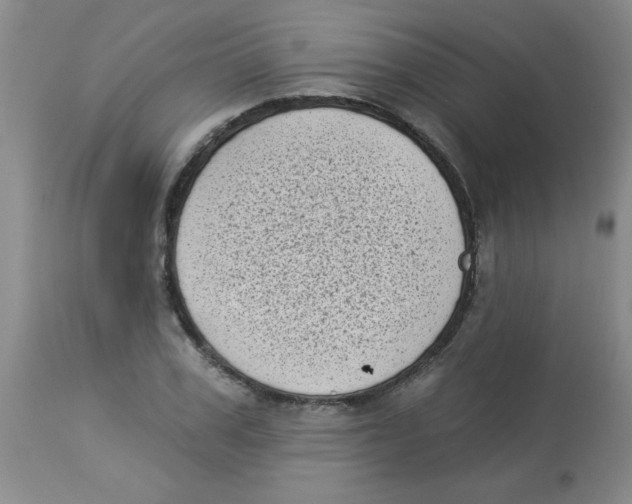 X0000113940979200910231940