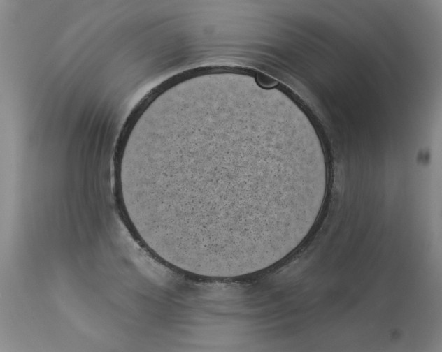 X0000113940980200910231940