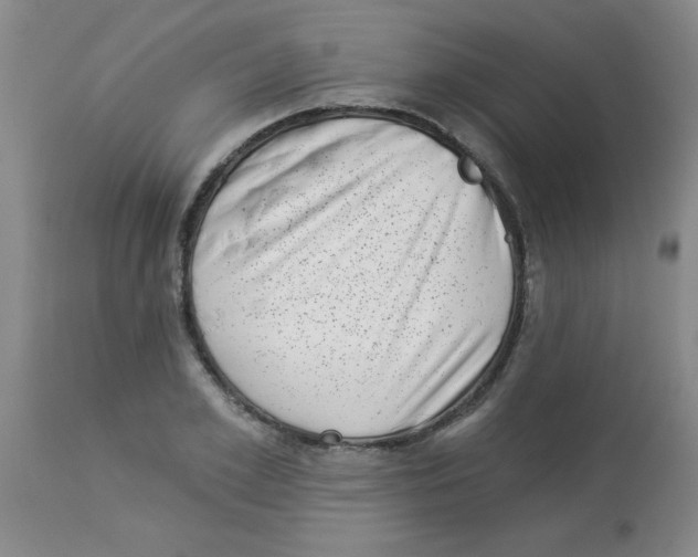 X0000113940981200910231940