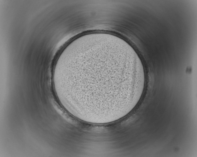 X0000113940982200910231940