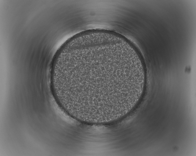 X0000113940983200910231940