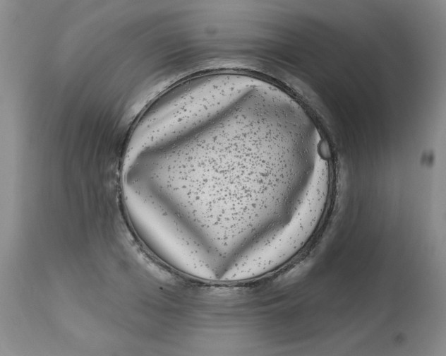 X0000113940985200910231940