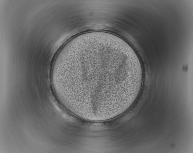 X0000113940986200910231940