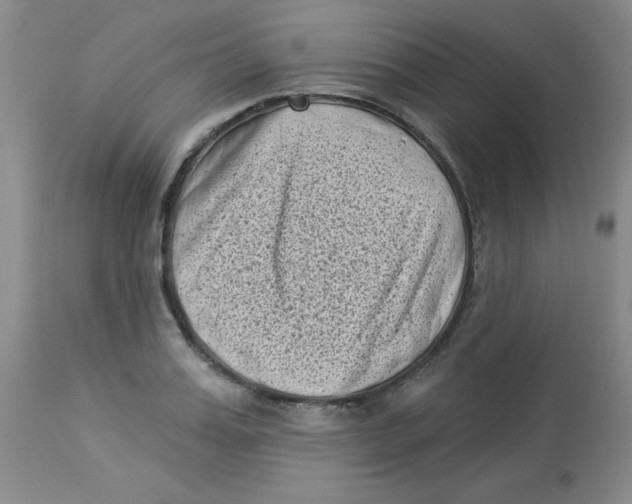 X0000113940987200910231940
