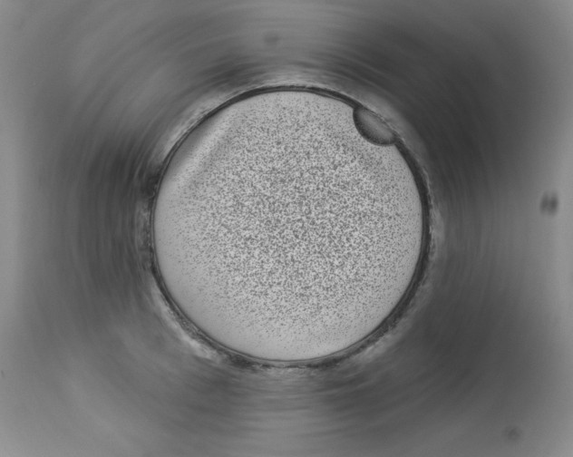 X0000113940993200910231940