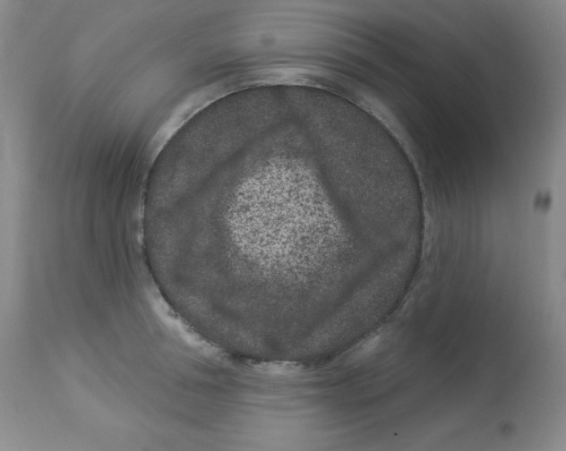 X0000113940994200910231940