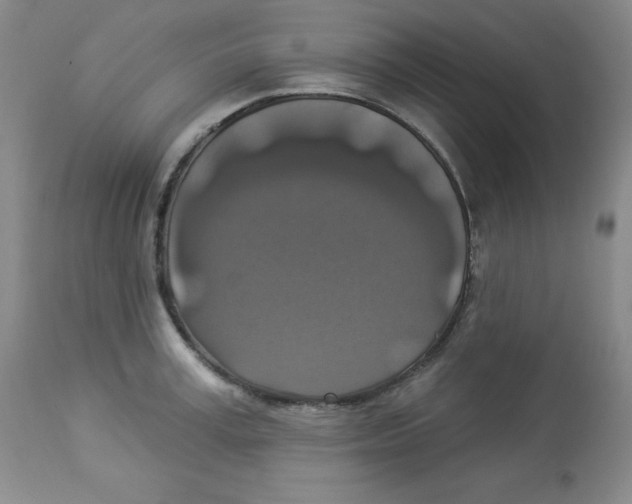 X0000113940995200910231940