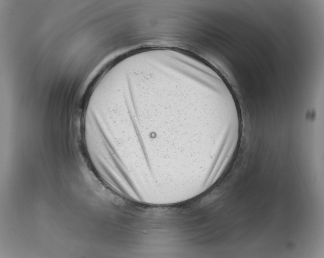 X0000113941000200910231940