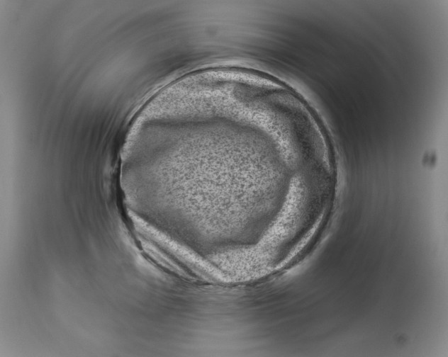 X0000113941001200910231940