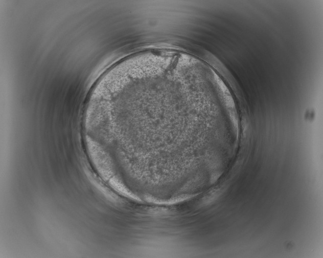 X0000113941002200910231940