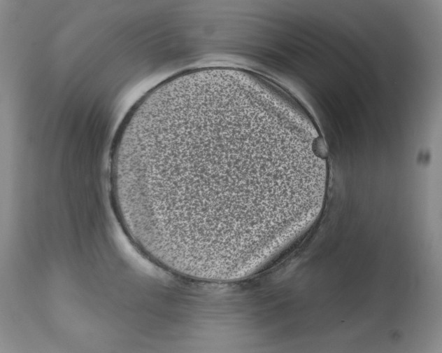 X0000113941003200910231940