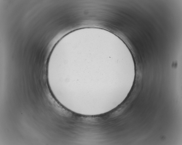 X0000113941004200910231940