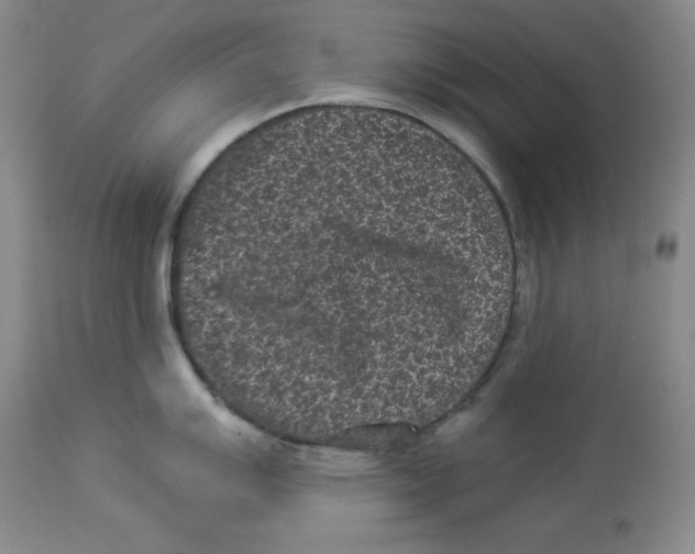 X0000113941007200910231940