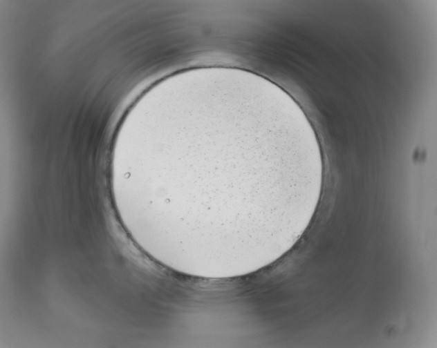X0000113941008200910231940