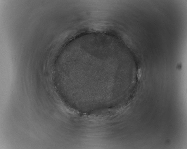 X0000113941009200910231939