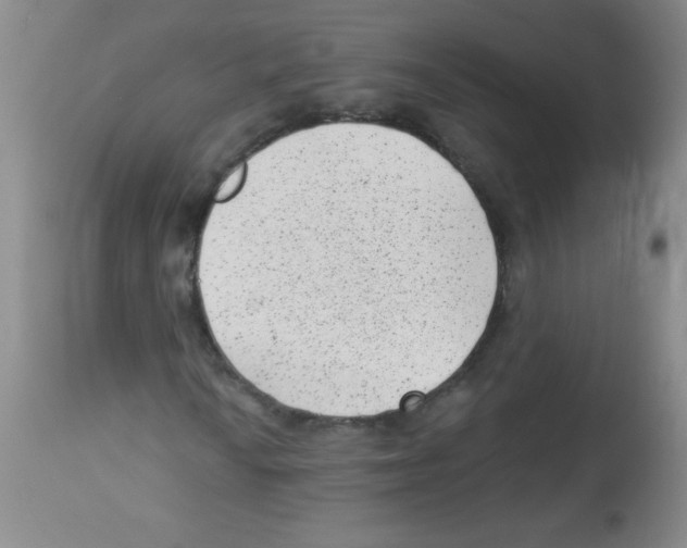 X0000113941010200910231939