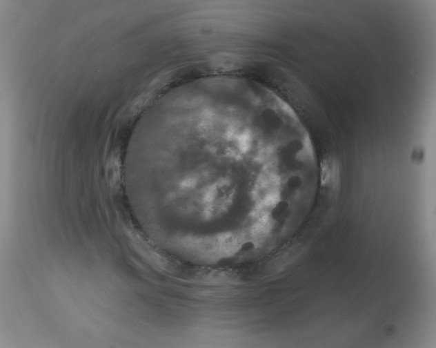 X0000113941011200910231939
