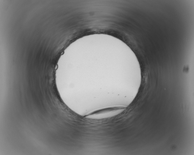 X0000113941012200910231939