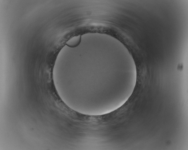 X0000113941013200910231939