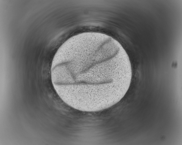 X0000113941014200910231939