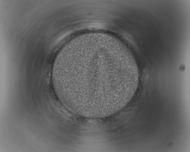 X0000113941015200910231939