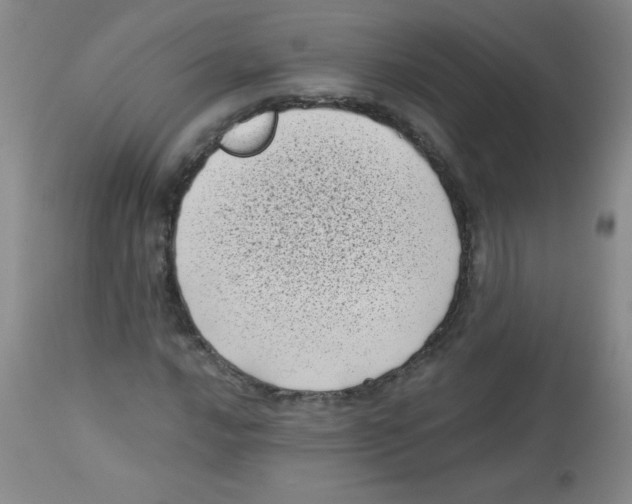 X0000113941016200910231939