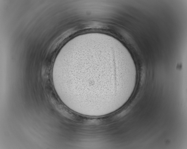X0000113941017200910231939