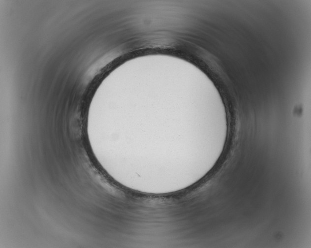 X0000113941018200910231939