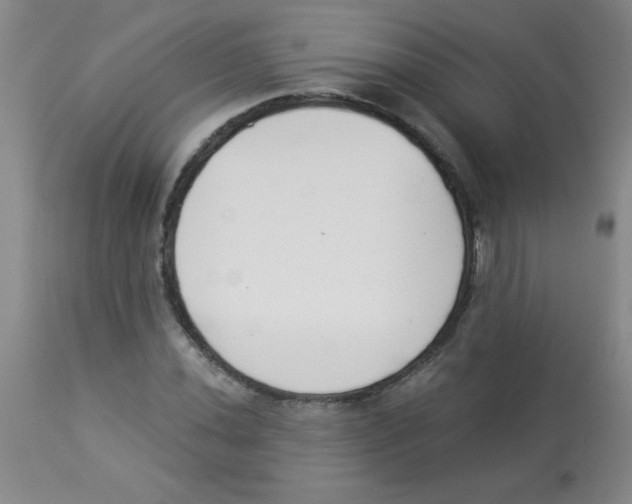 X0000113941020200910231939