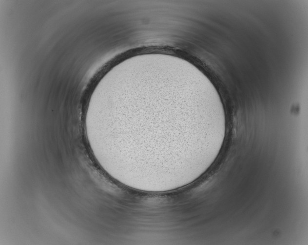 X0000113941021200910231939