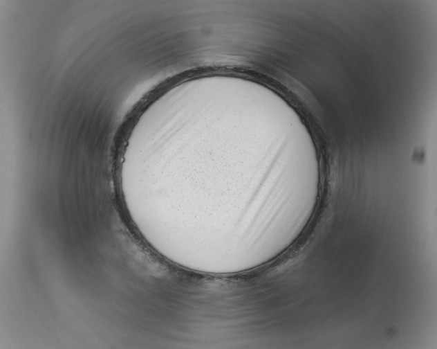 X0000113941022200910231939