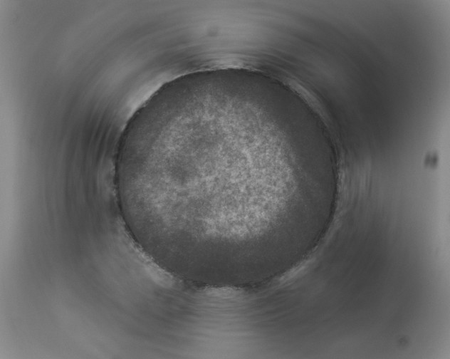 X0000113941023200910231939
