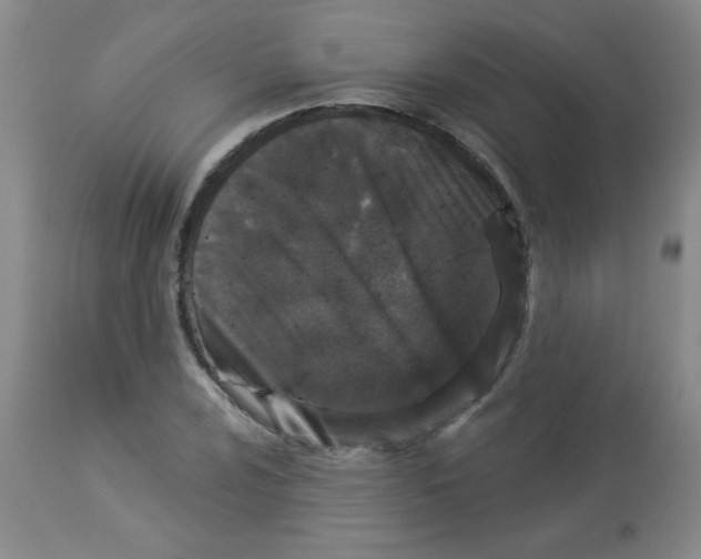 X0000113941024200910231939