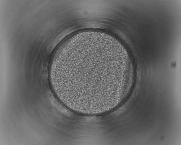 X0000113941025200910231939
