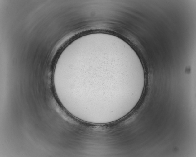 X0000113941029200910231939