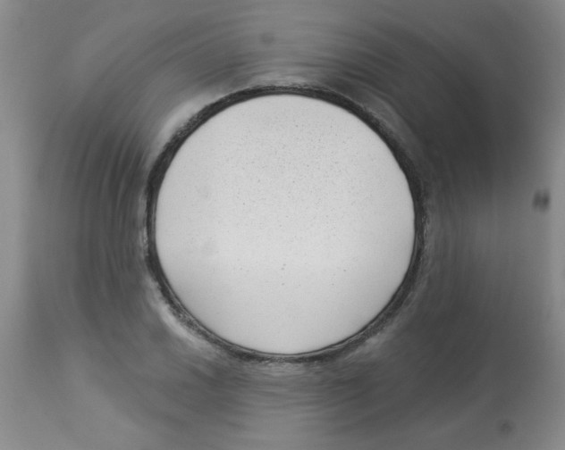 X0000113941030200910231939