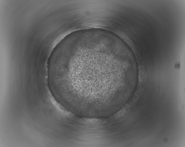 X0000113941031200910231939