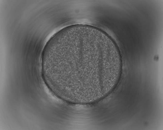 X0000113941032200910231939