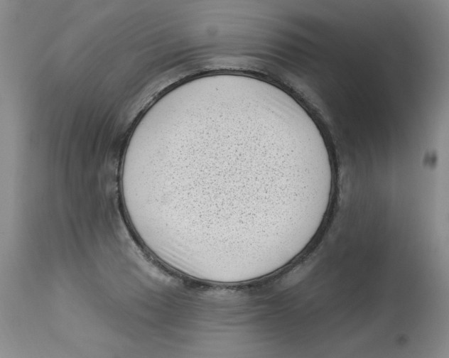 X0000113941033200910231939