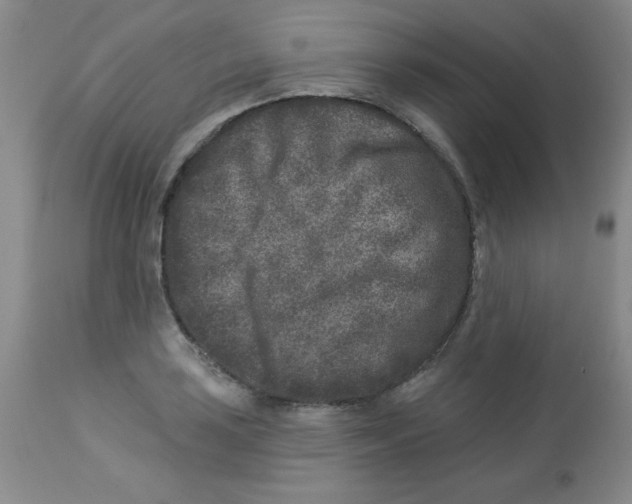 X0000113941035200910231939