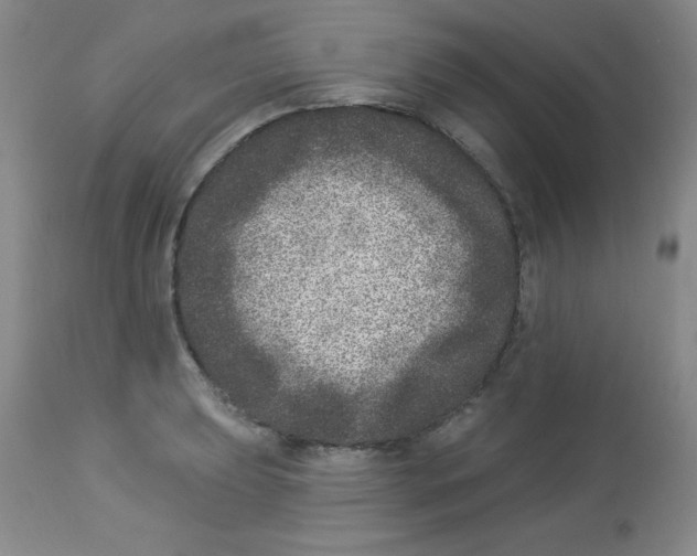 X0000113941039200910231939