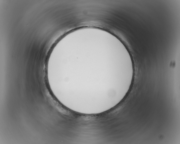 X0000113941040200910231939