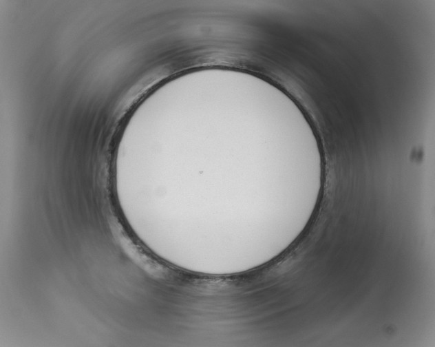X0000113941042200910231939